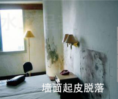 微信图片_20190306160828.png